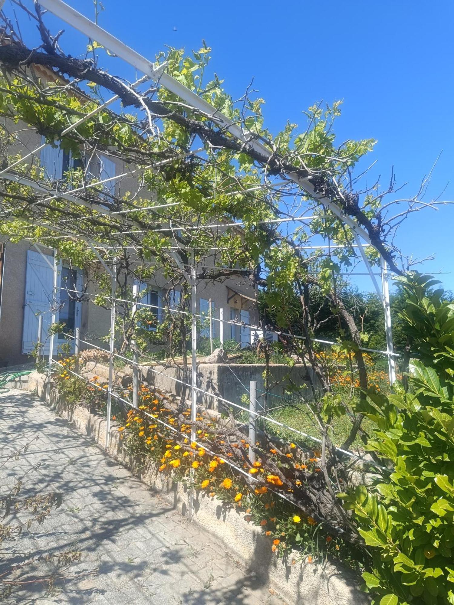 Hysope Apartment Château-Arnoux Exterior foto